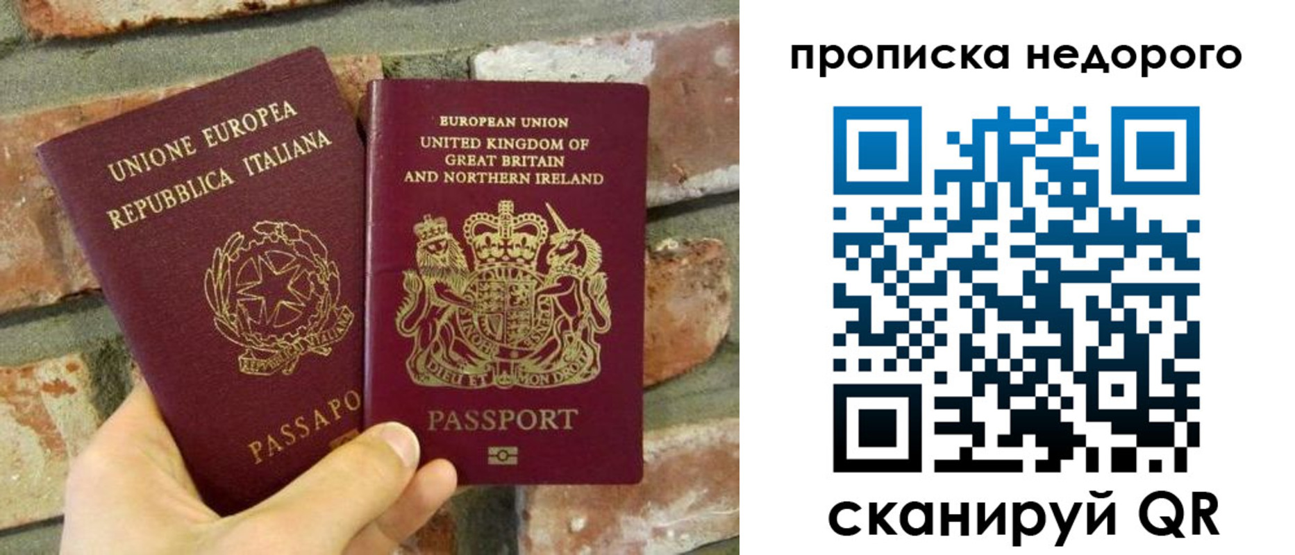 прописка поиск в Ершове